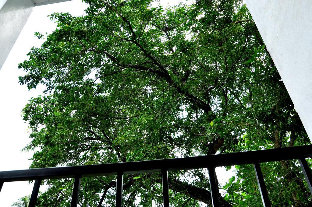 Oak Residencies Villa Kiribathgoda Exteriör bild